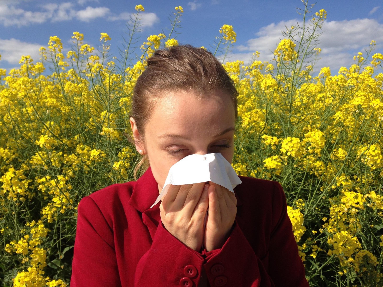Allergie, intestino, microbiota e sistema immunitario